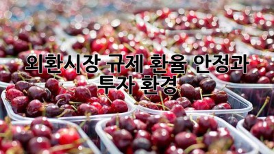 외환시장 규제: 환율 안정과 투자 환경
